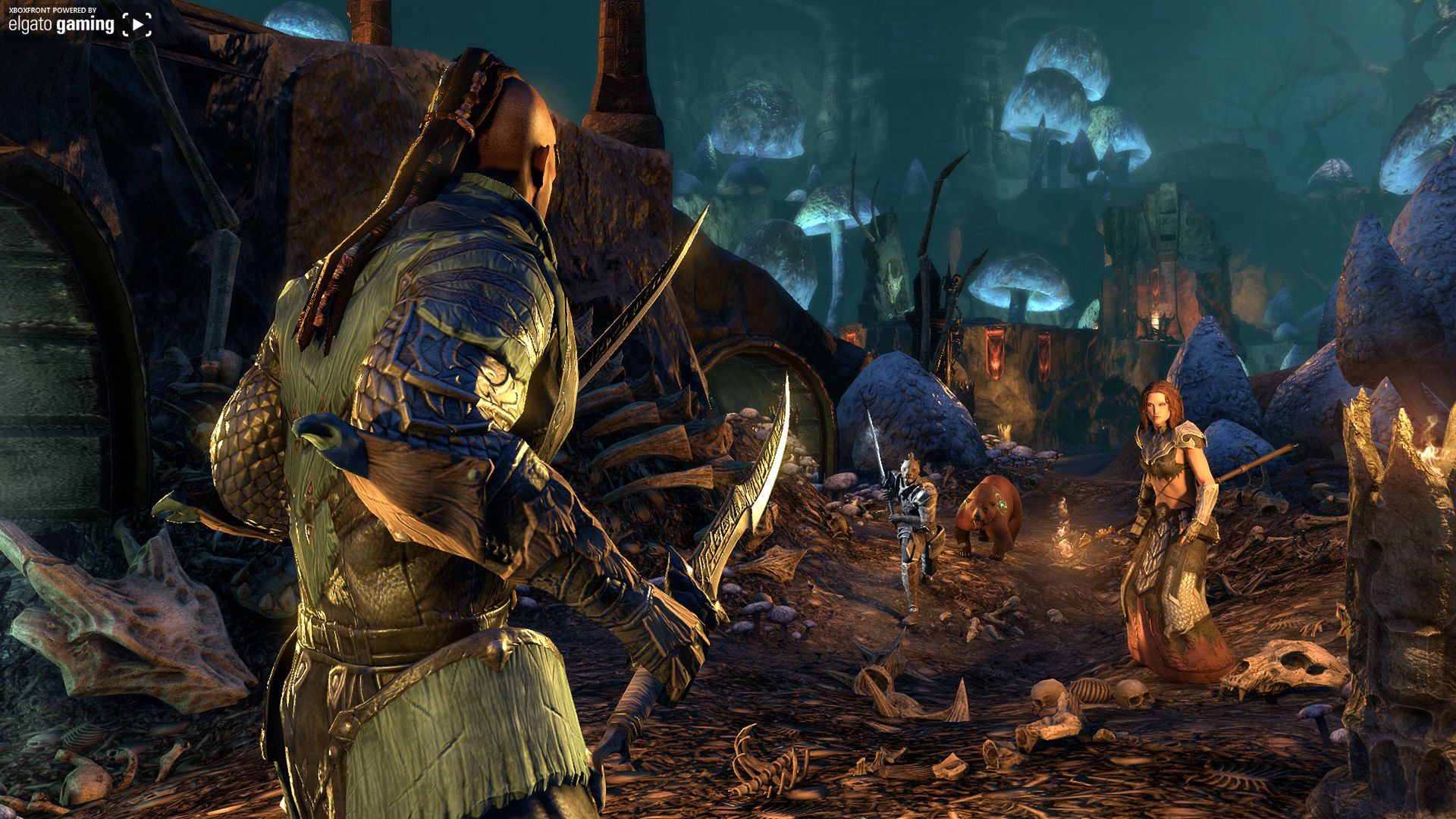 The Elder Scrolls Online: Morrowind