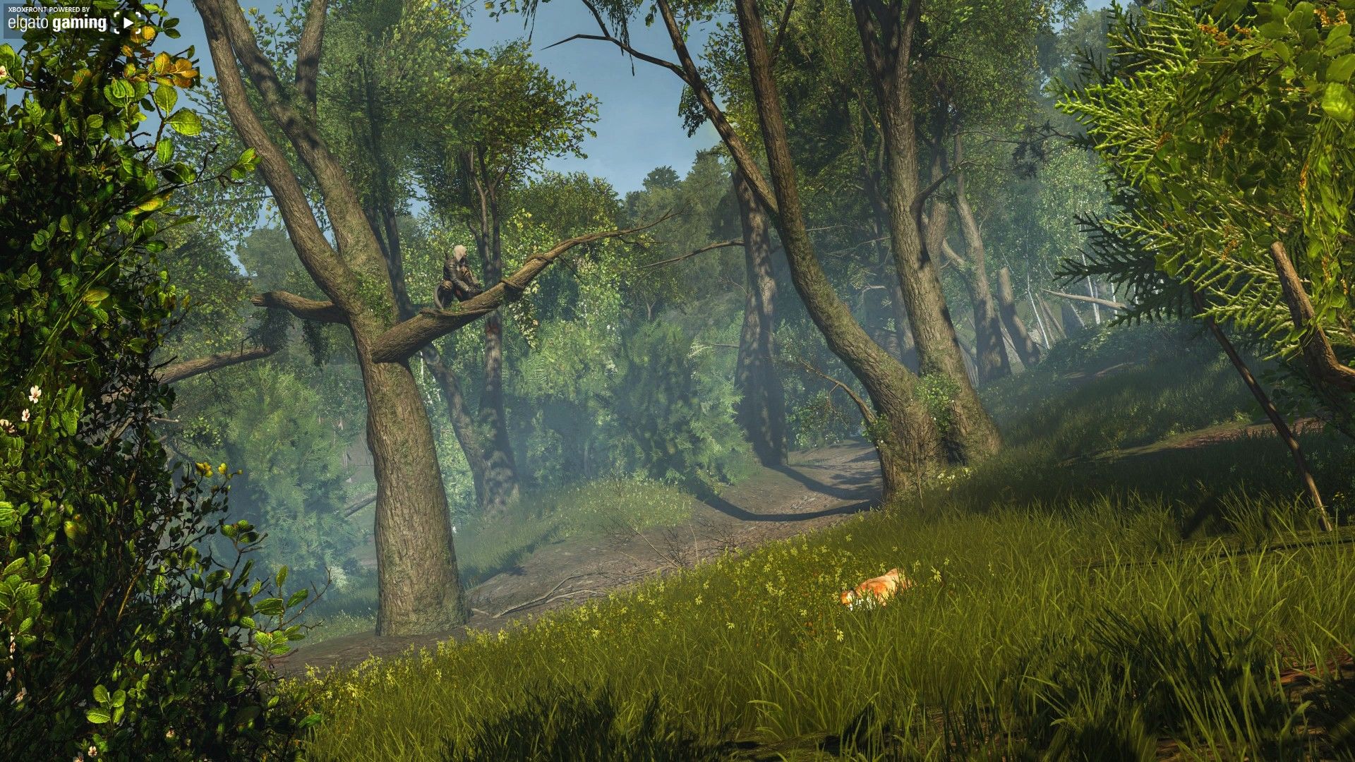 Assassin’s Creed Rogue Remastered