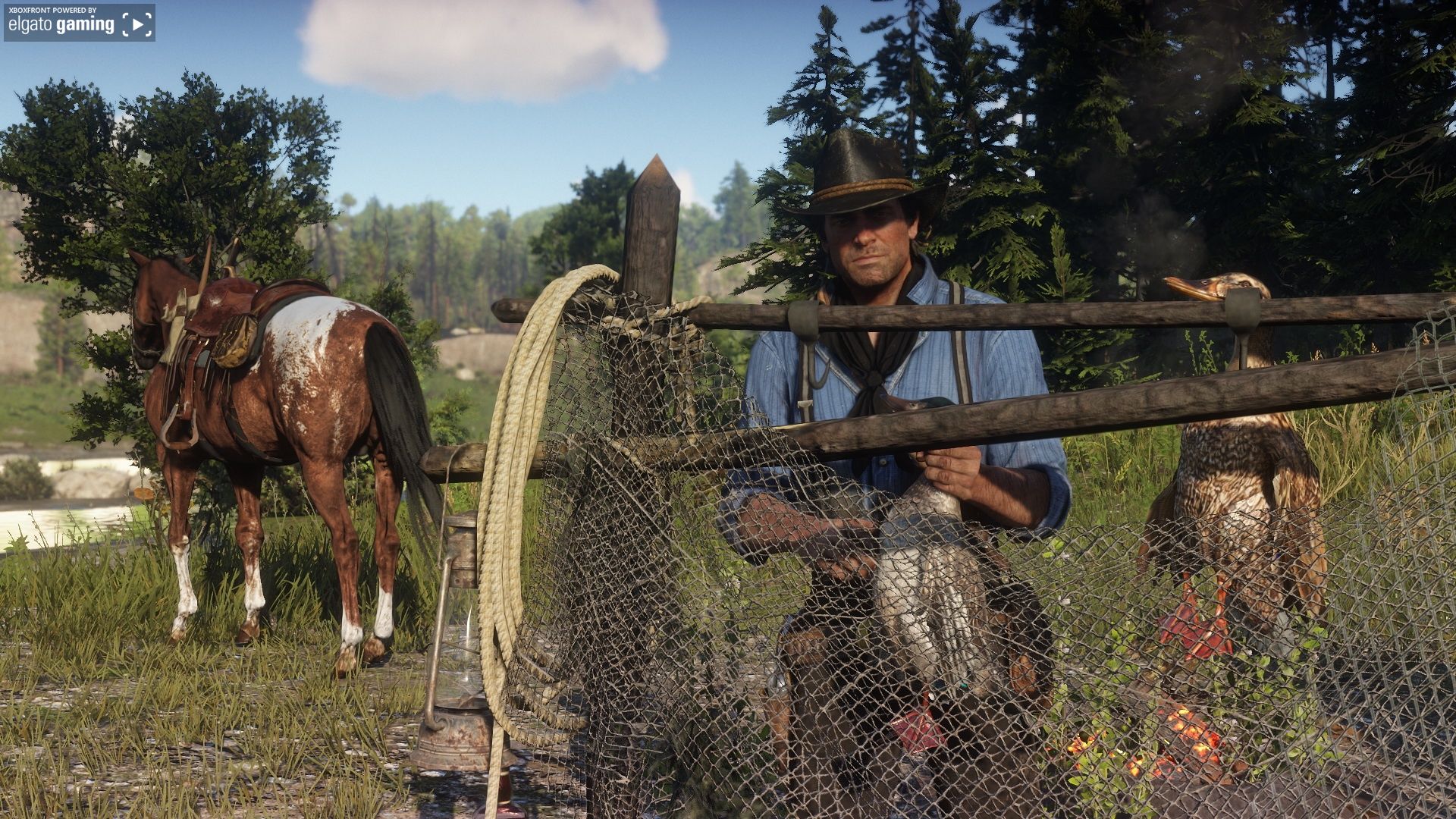 Red Dead Redemption 2