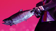 Hitman 2 : 