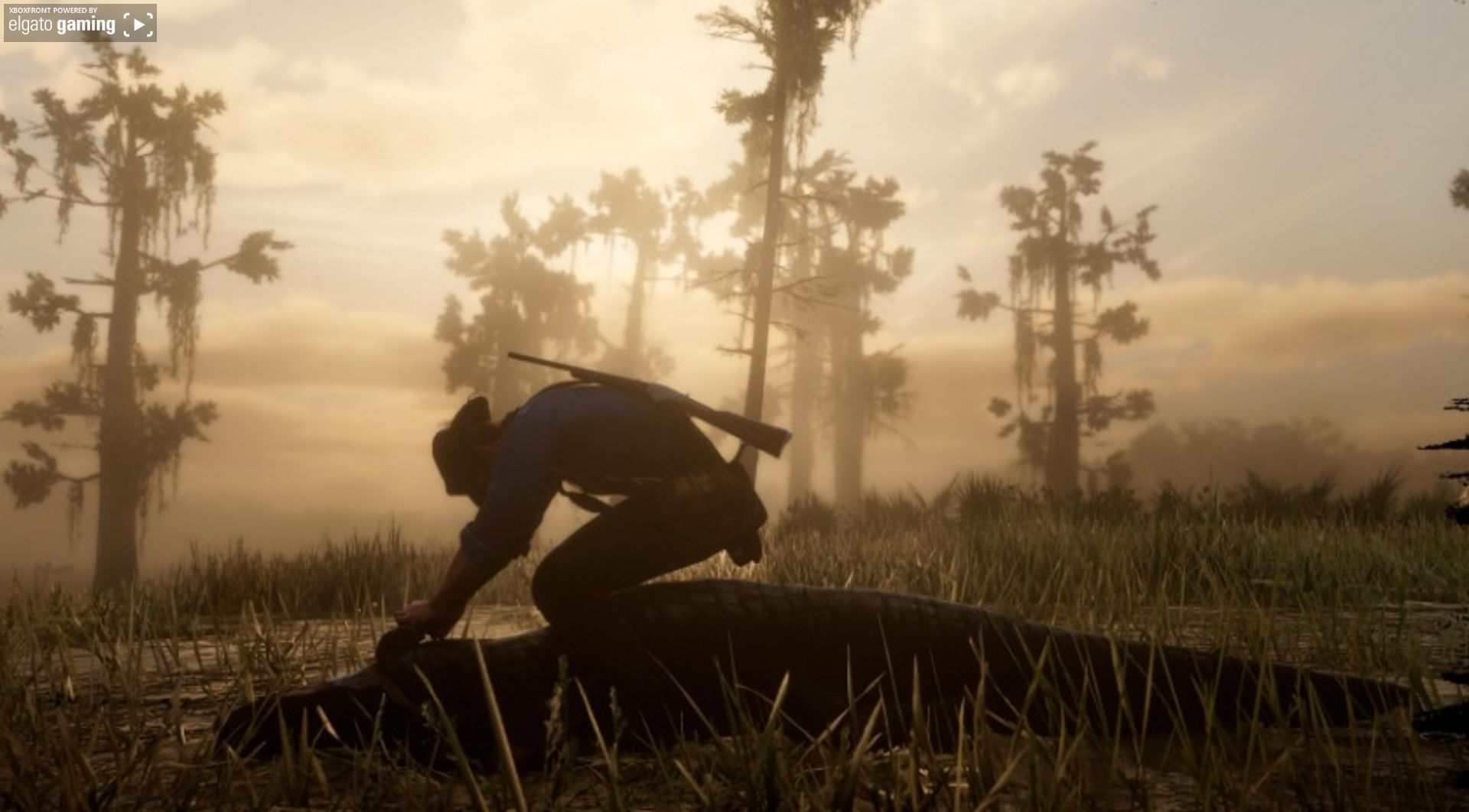 Red Dead Redemption 2