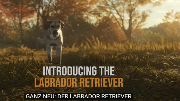 theHunter: Call of the Wild: Labrador Retriever
