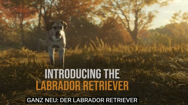 theHunter: Call of the Wild - Labrador Retriever